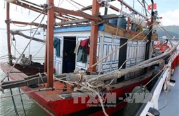 Giải cứu 8 ngư dân tàu cá bị tàu Hàn Quốc đâm chìm
